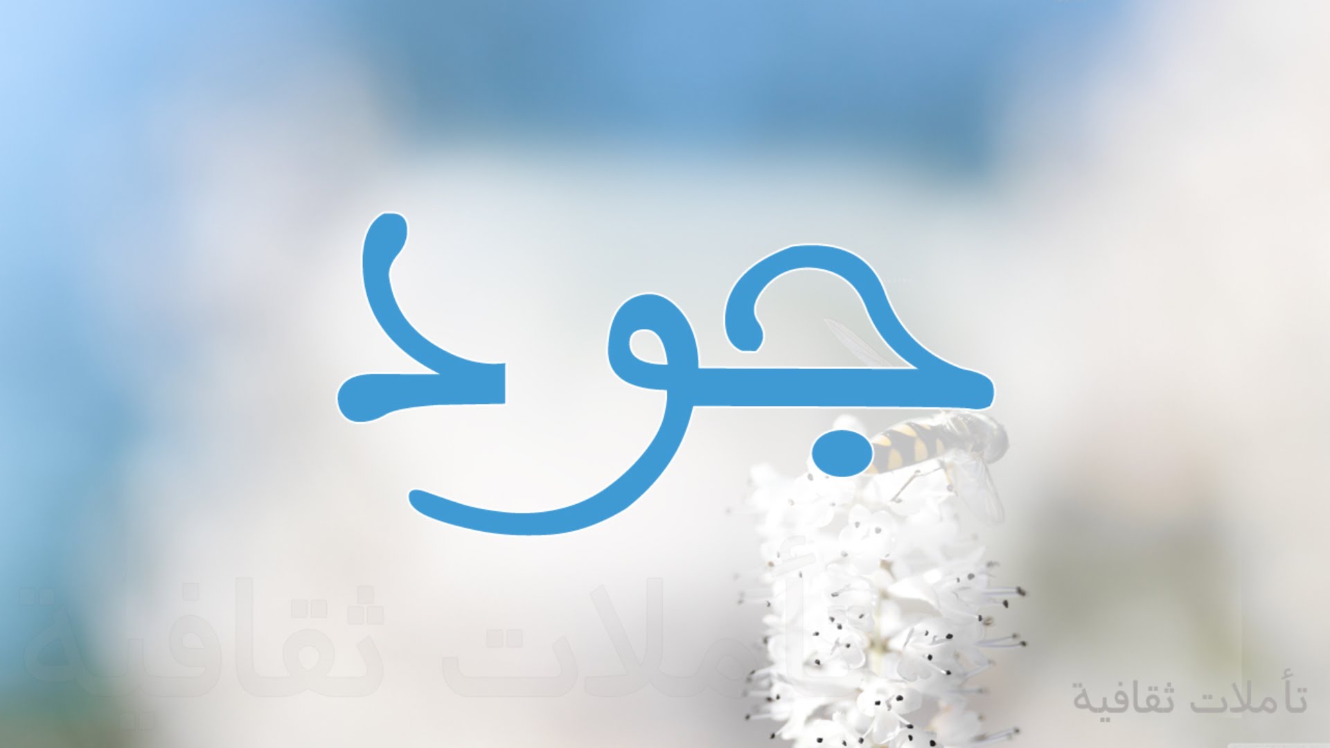 معنى اسم جود , صفات جود ومعناه