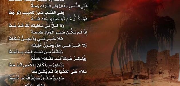 اشعار عن الصديق - شعر عن رفيقي 459 9