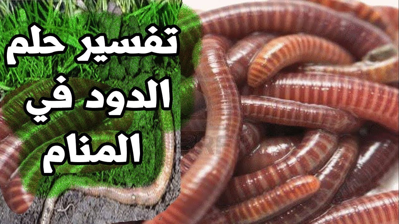 تفسير حلم خروج الدود من الجسم