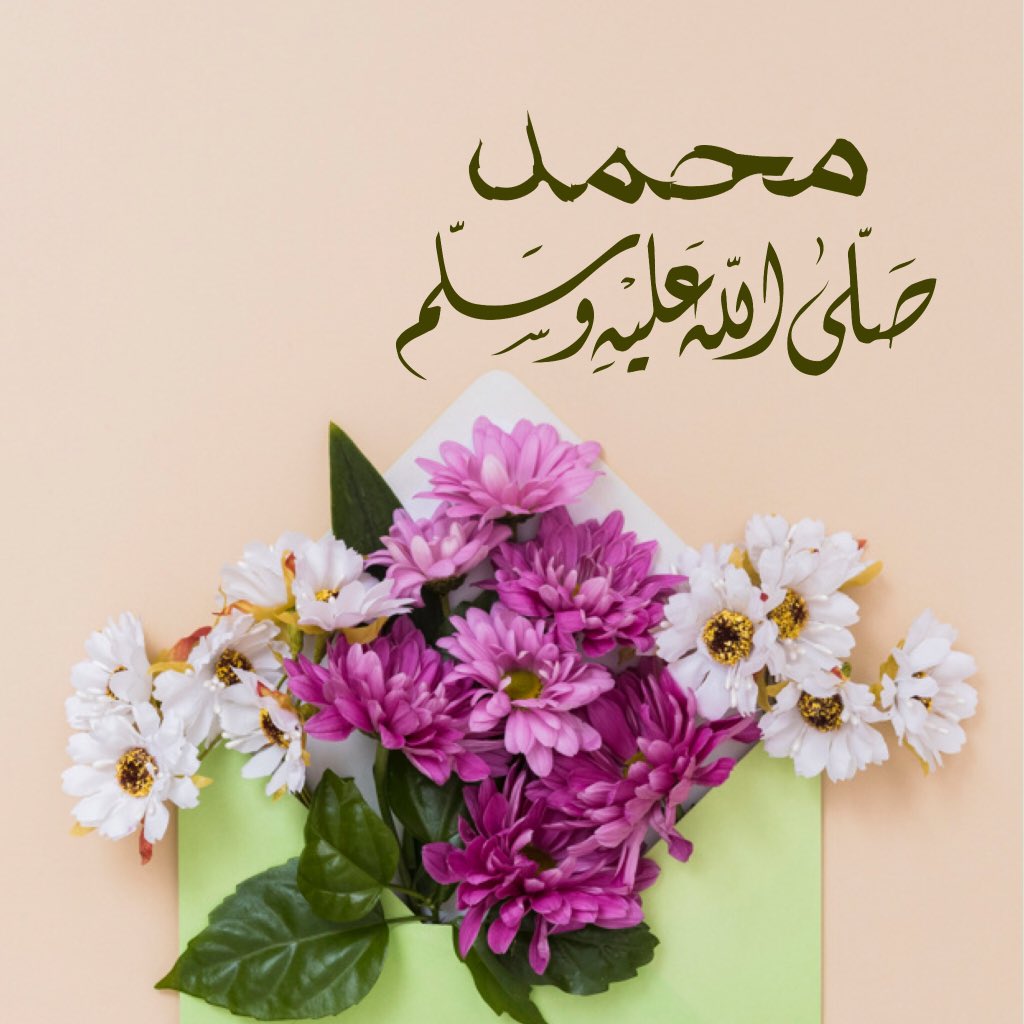 صور للوتس دينيه 12272 6