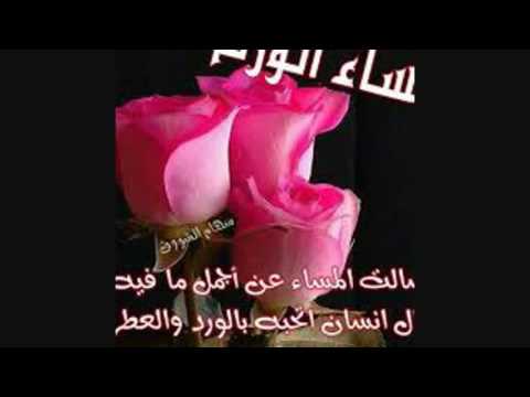 صور عن المساء - كلمات عن المساء والليالى الصافية 1386 9