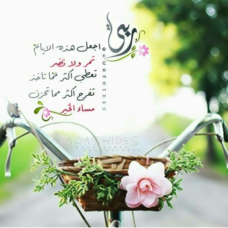 صور لمساء الخير - اجمل رساله مسائيه 2645 9