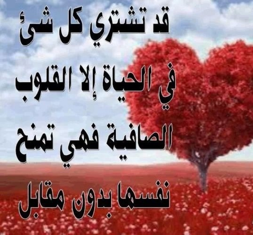 كلام حب يلهلب المشاعر - رسايل رومانسيه 5934 6