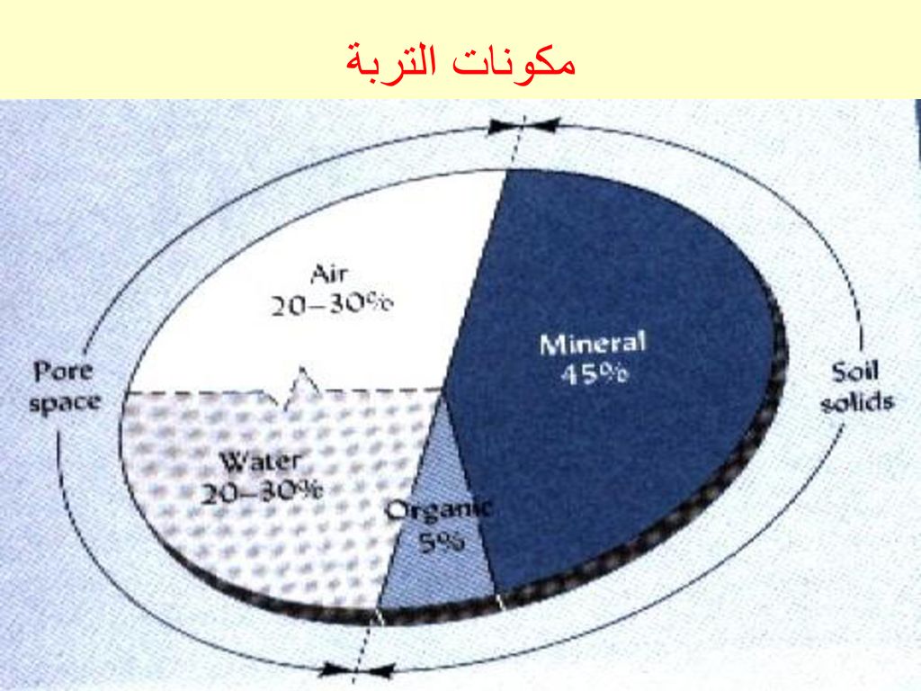 مكونات التربة- ماذا تعرف عن طبقات التربة او انواع التربة 625 1