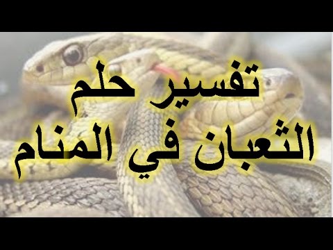 رؤية الحية في المنام - ماهو تفسير رؤيه الثعبان اثناء النوم 1334 2