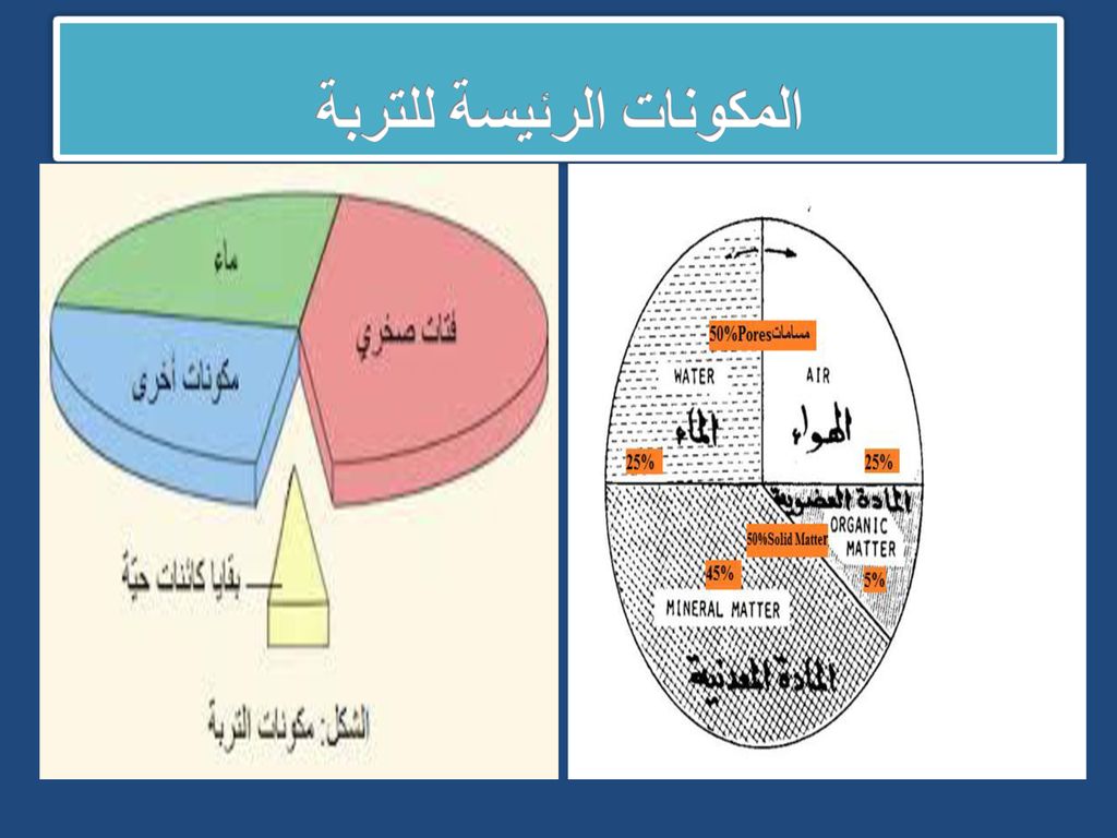 مكونات التربة- ماذا تعرف عن طبقات التربة او انواع التربة 625 2