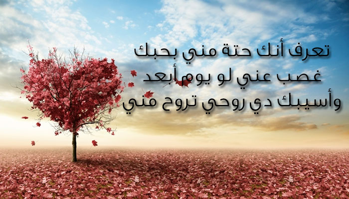 رسائل الحب والعشق - عبارات و كلمات حب روعة 3161 11