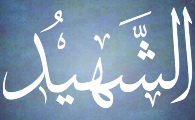 شعر عن الشهيد 12687