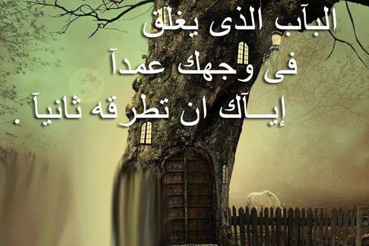 صور عن الكرامة 12767 1