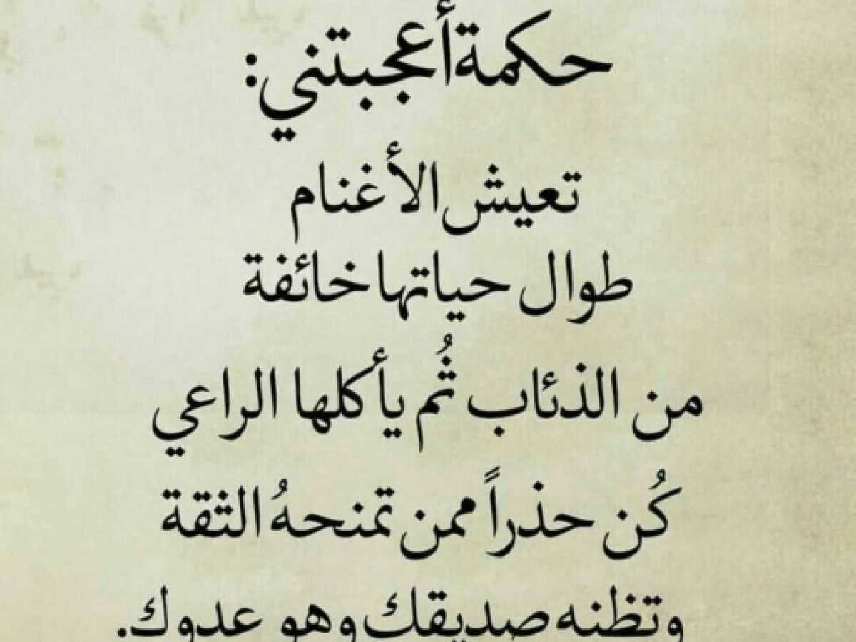 حاله للواتس