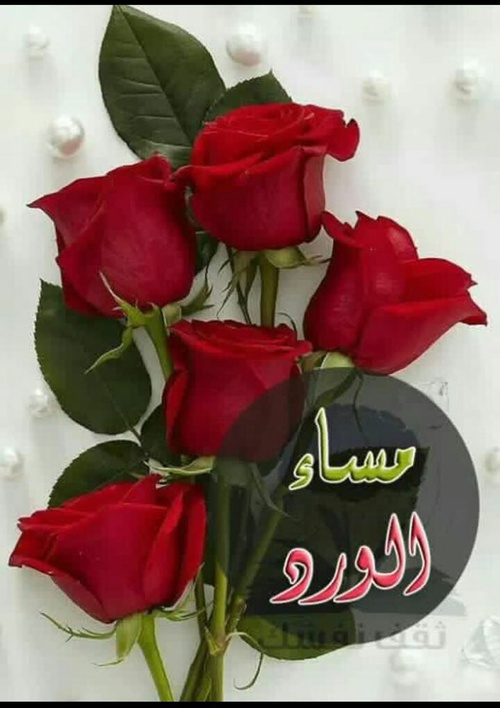 صور مساء النور - اجمل عبارت مساء النور على صور 6596 12