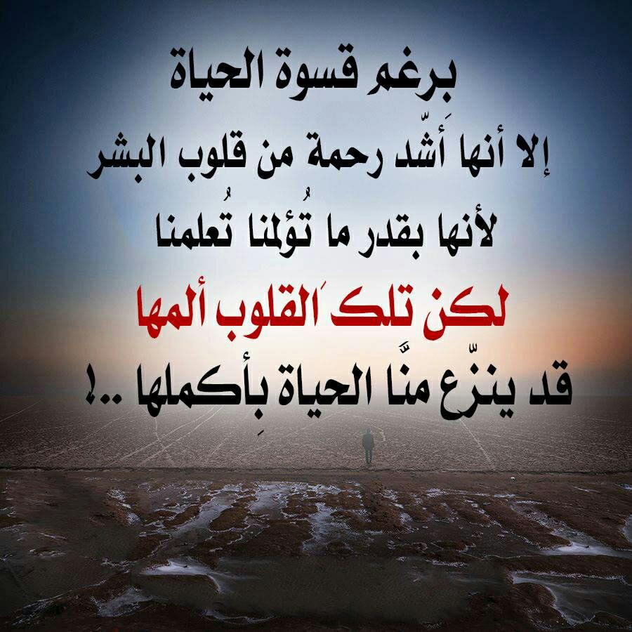 حكم عن الدنيا 4215 6