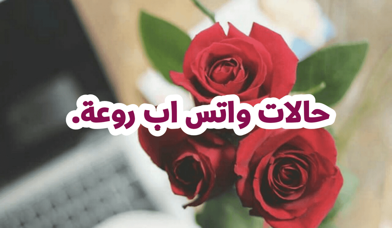 حالات واتس اب حلوه وروعه 4491 1