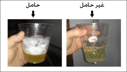 كيف اعرف اني حامل في البيت , العلامات المؤكدة للحمل