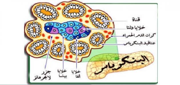 اين تقع جزر لانغرهانس