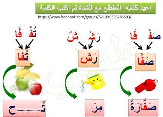 كلمات بها حرف مشدد 12022 5