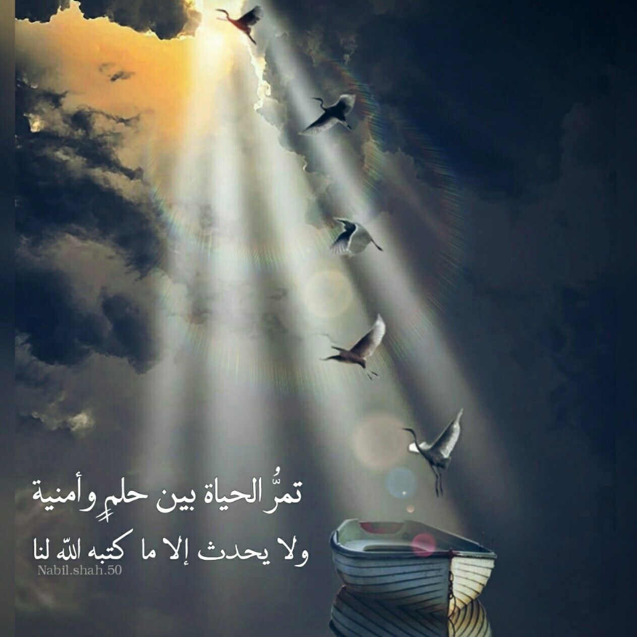 صور عن الاحلام 2560 2