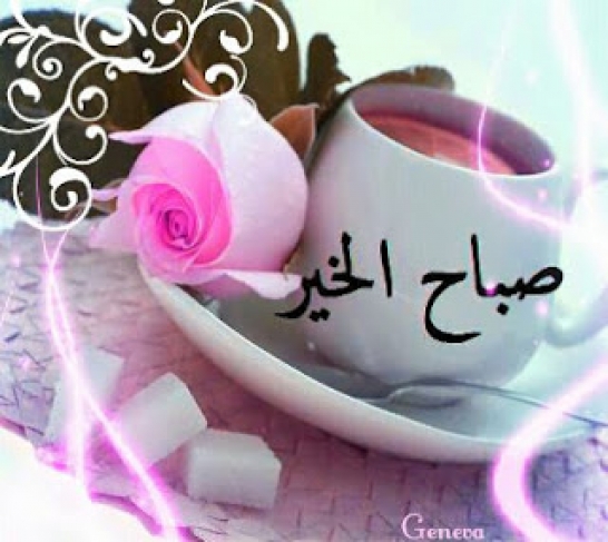 صور صباحيات - صباحكم خير وفرحه 2879 8