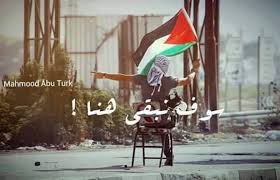 صور عن فلسطين - صورة فى حب القدس 1320 13