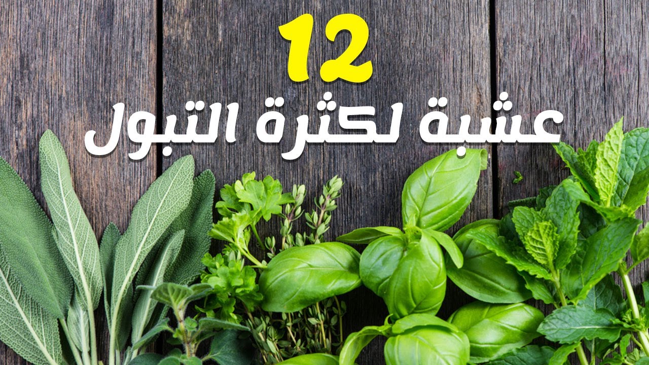 علاج كثرة التبول بالاعشاب