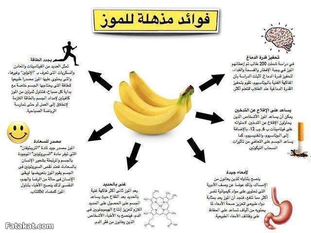 فوائد الموز - فاكهة الموز طعمها وفائدتها 6235 1