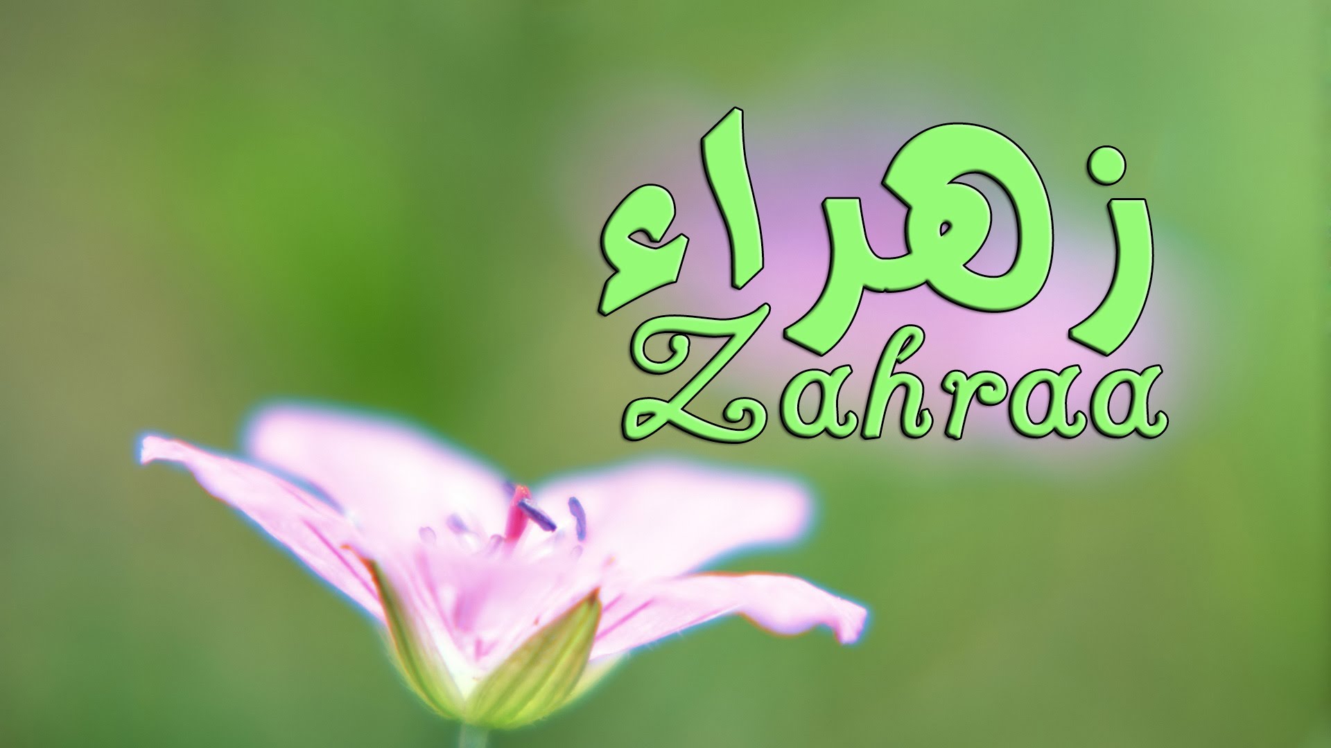 اسم زهراء - زهراء فى صور رائعه 1425 4