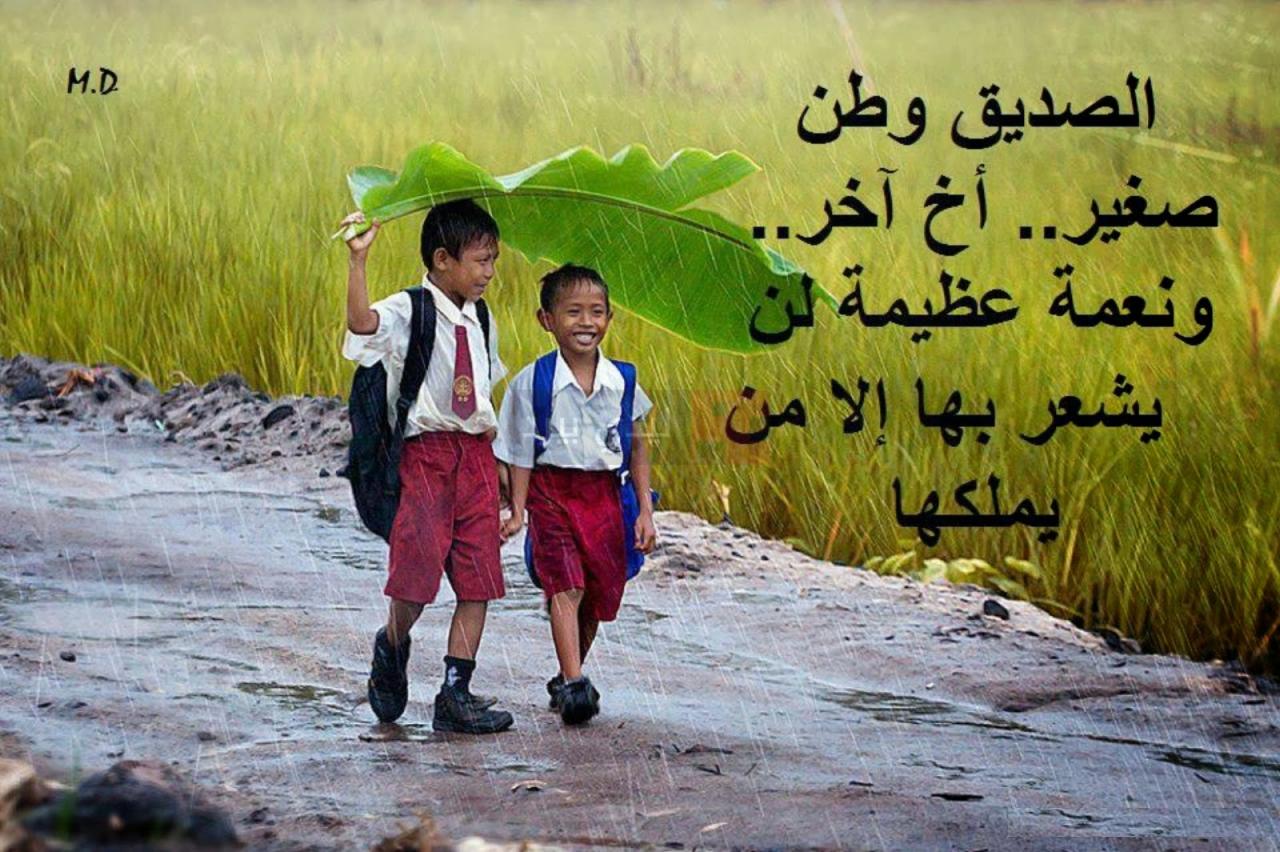 رسالة لصديق 5525 4