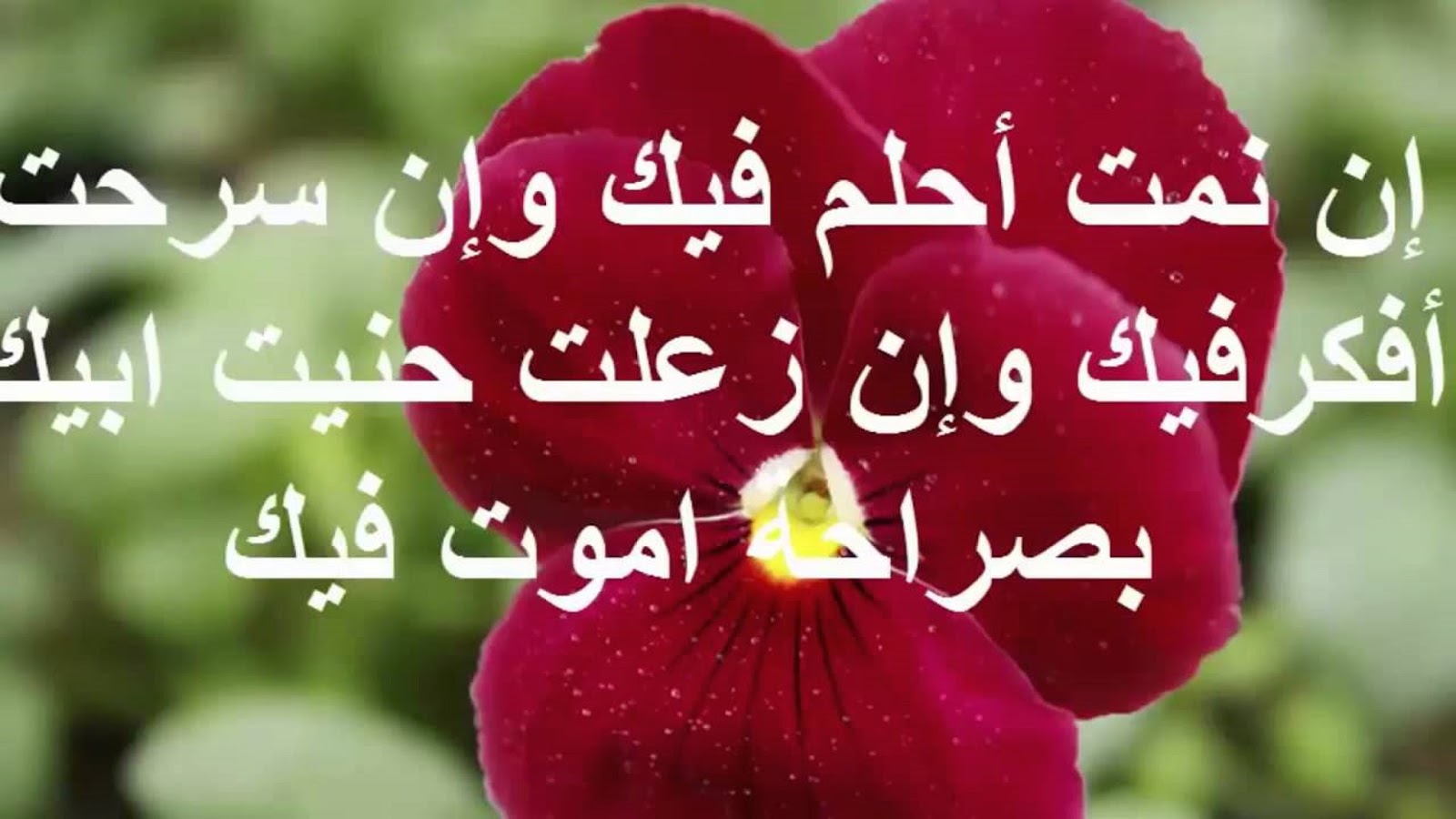 رسائل حب وغرام , مسجات العشق للاحباب