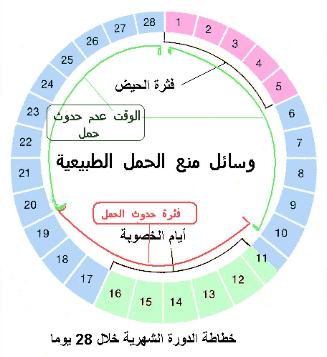 طرق منع الحمل الطبيعية 4284