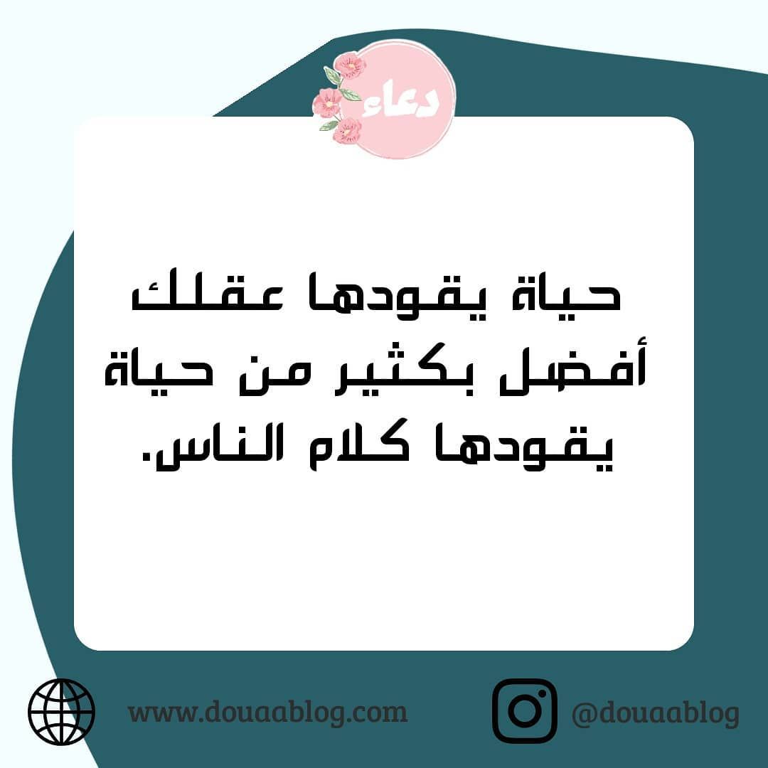 حكمة الحياة 6204 1