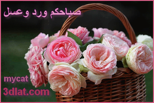 عبارات صباح الخير - اجمل عبارات صباح الخير 1694