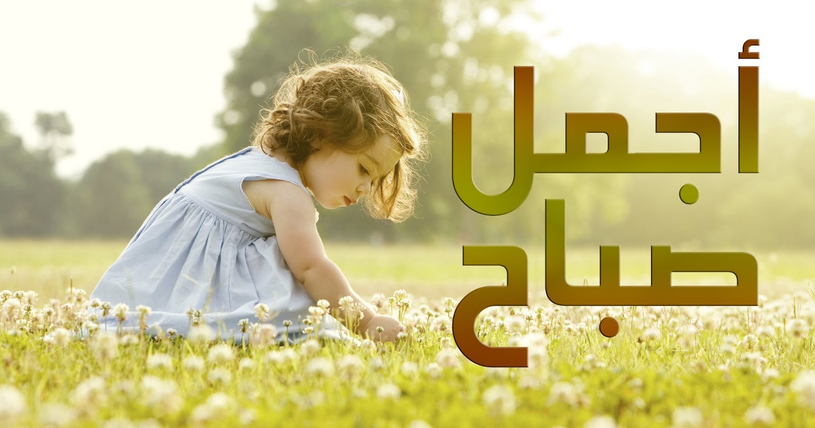 كلمات صباح الخير - كلام عن الصباح روعه 2111 4