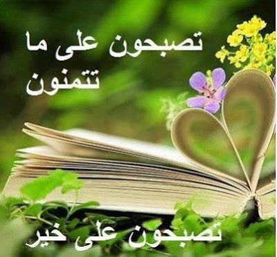 صور تصبحون على خير , اروع الصور لختام يوم جميل