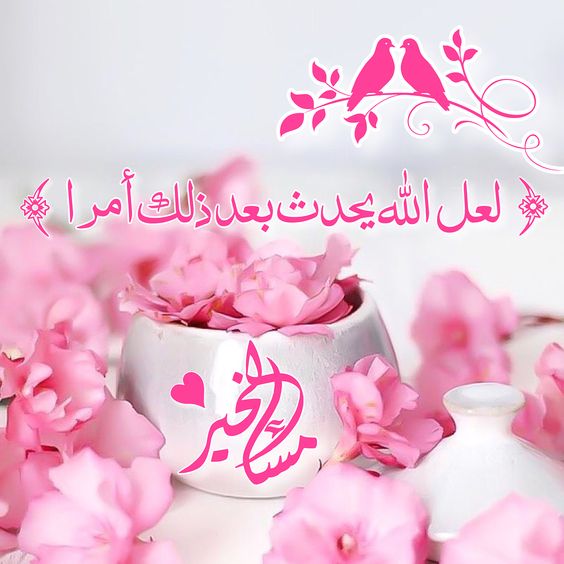 صور لمساء الخير - اجمل رساله مسائيه 2645 4