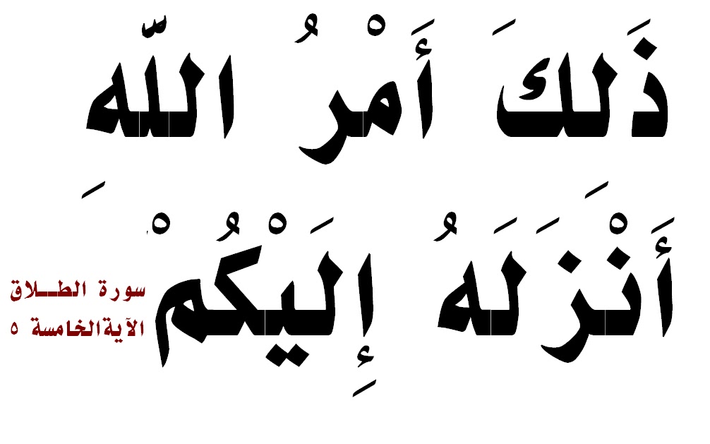 هل يجوز طلاق الحامل - حكم الشرع في طلاق الحامل 557 1