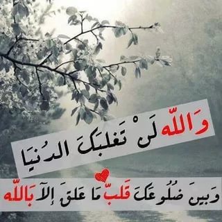 حالات واتس اب حلوه مزخرفه , اجمل صورة للواتس اب بزخارف ملونة