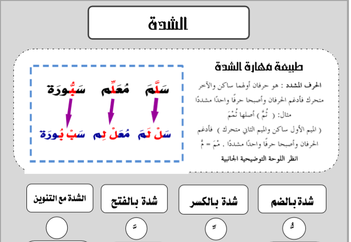 كلمات بها حرف مشدد 12022