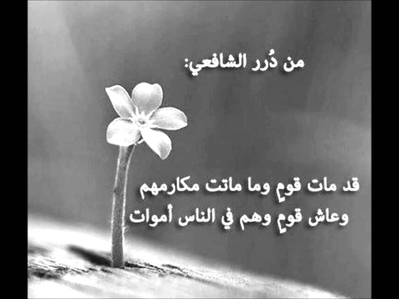 ابيات شعر قصيره حكم 981 6