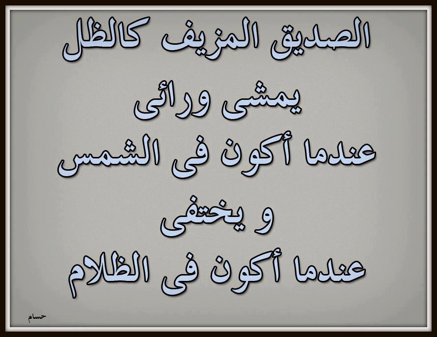 اقوال وحكم بالصور عن الصداقة - شاهد بالصور اجمل ماقيل عن الصداقة 3757 3