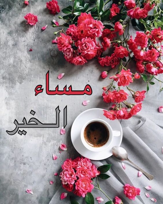 صور مساءالخير - كلمة مساء الخير جميله 4628