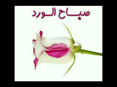 صور صباحيات - صباحكم خير وفرحه 2879