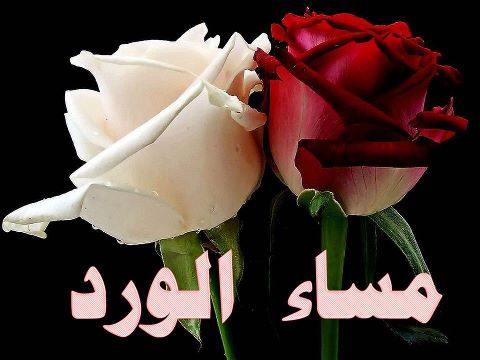 صور مساء الفل - مسائيات روعه ولا اجمل 2626 4