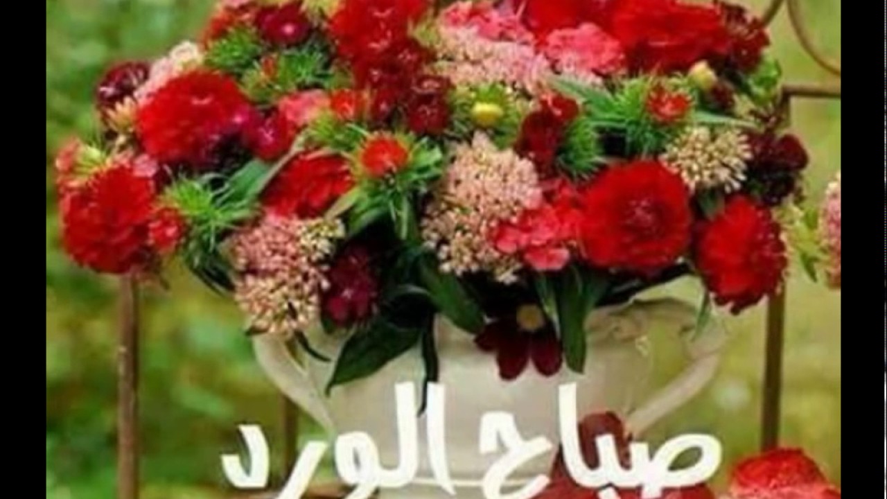 صور الصباح والمساء - صباحيات ومسائيات مصورة 2987 13