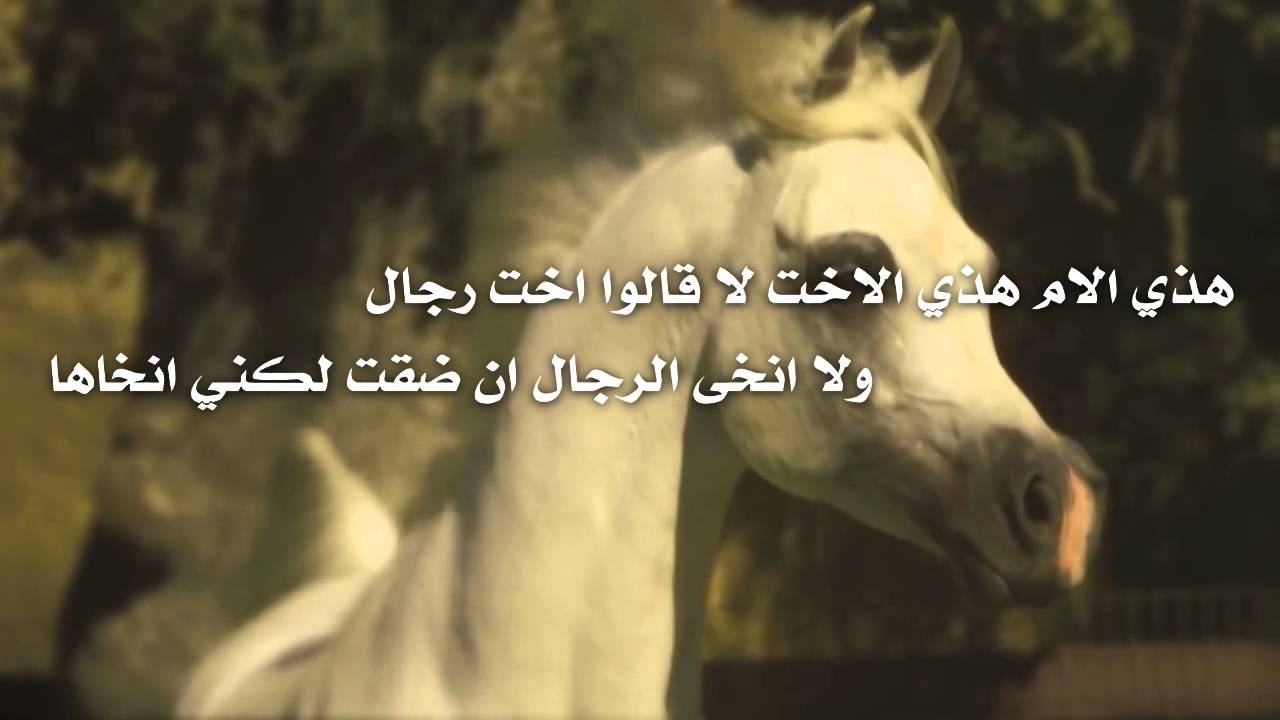 شعر عن البلد 12805 8