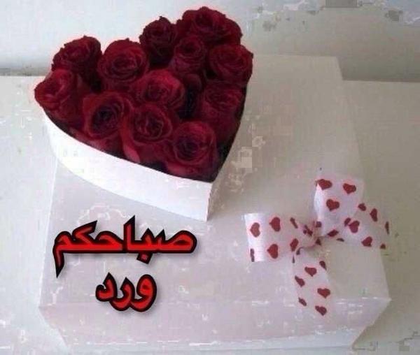 صباح السكر - صباحكم مسكر بصور ممتعه 2405 8