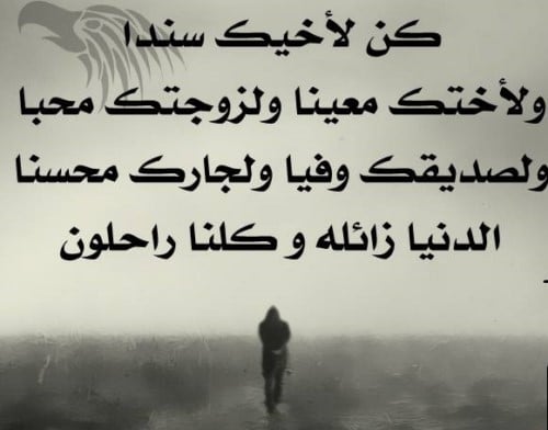 شعر على الصداقه 12548 7