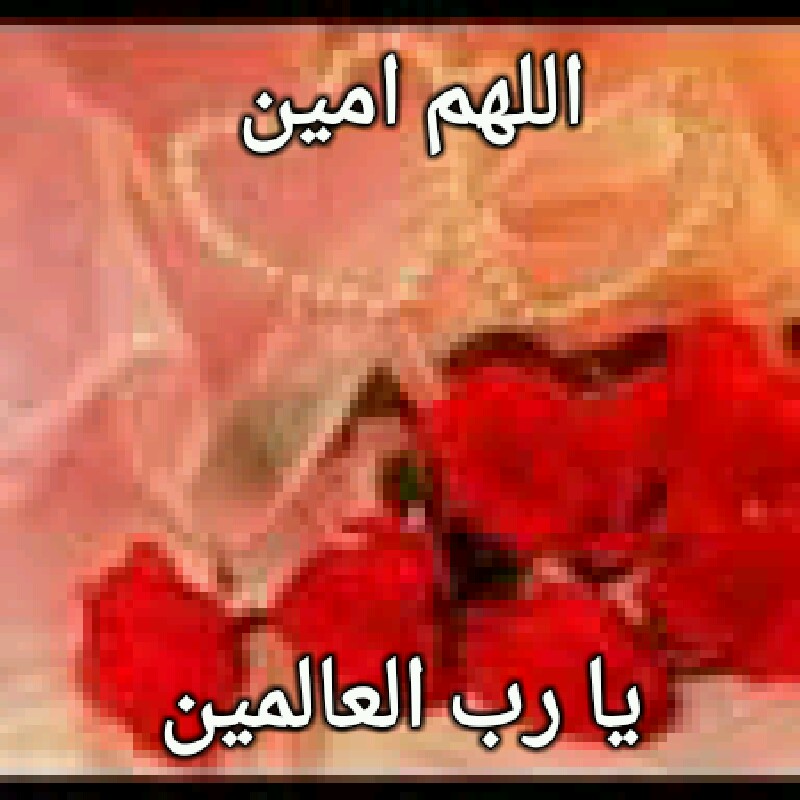 صور اللهم امين - صور جميلة للدعاء 6553 6