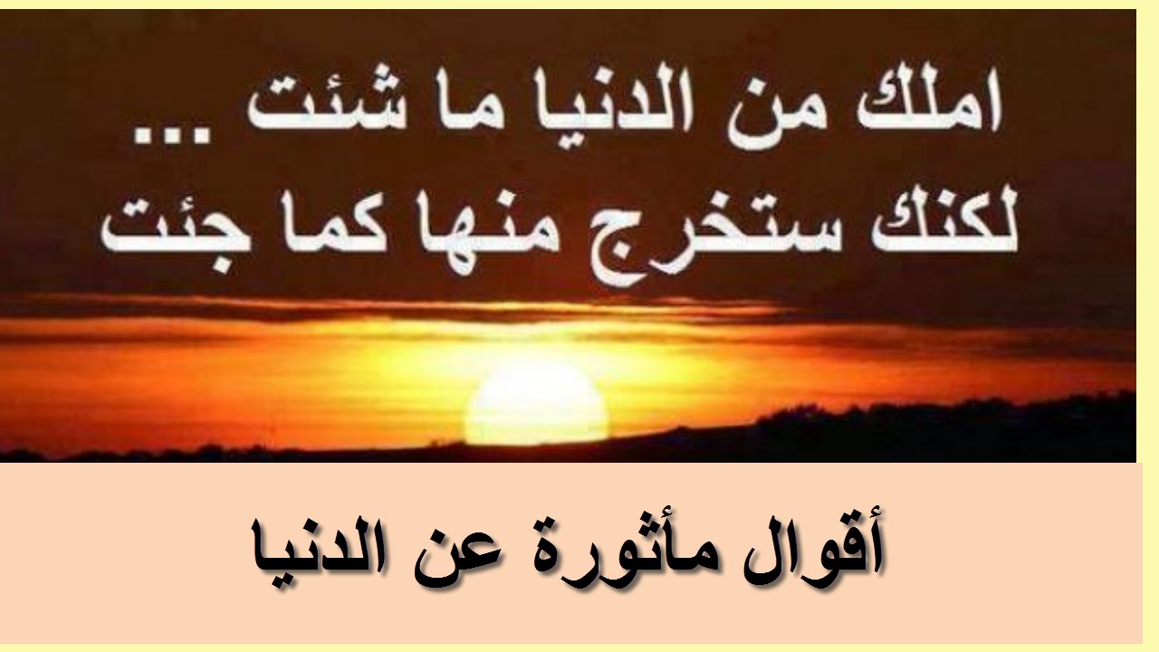 شعر عن الدنيا 893 7