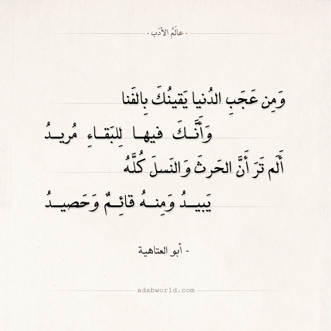 شعر عن الدنيا 893