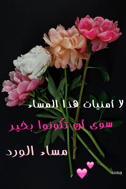 صور مساء الفل - مسائيات روعه ولا اجمل 2626 5